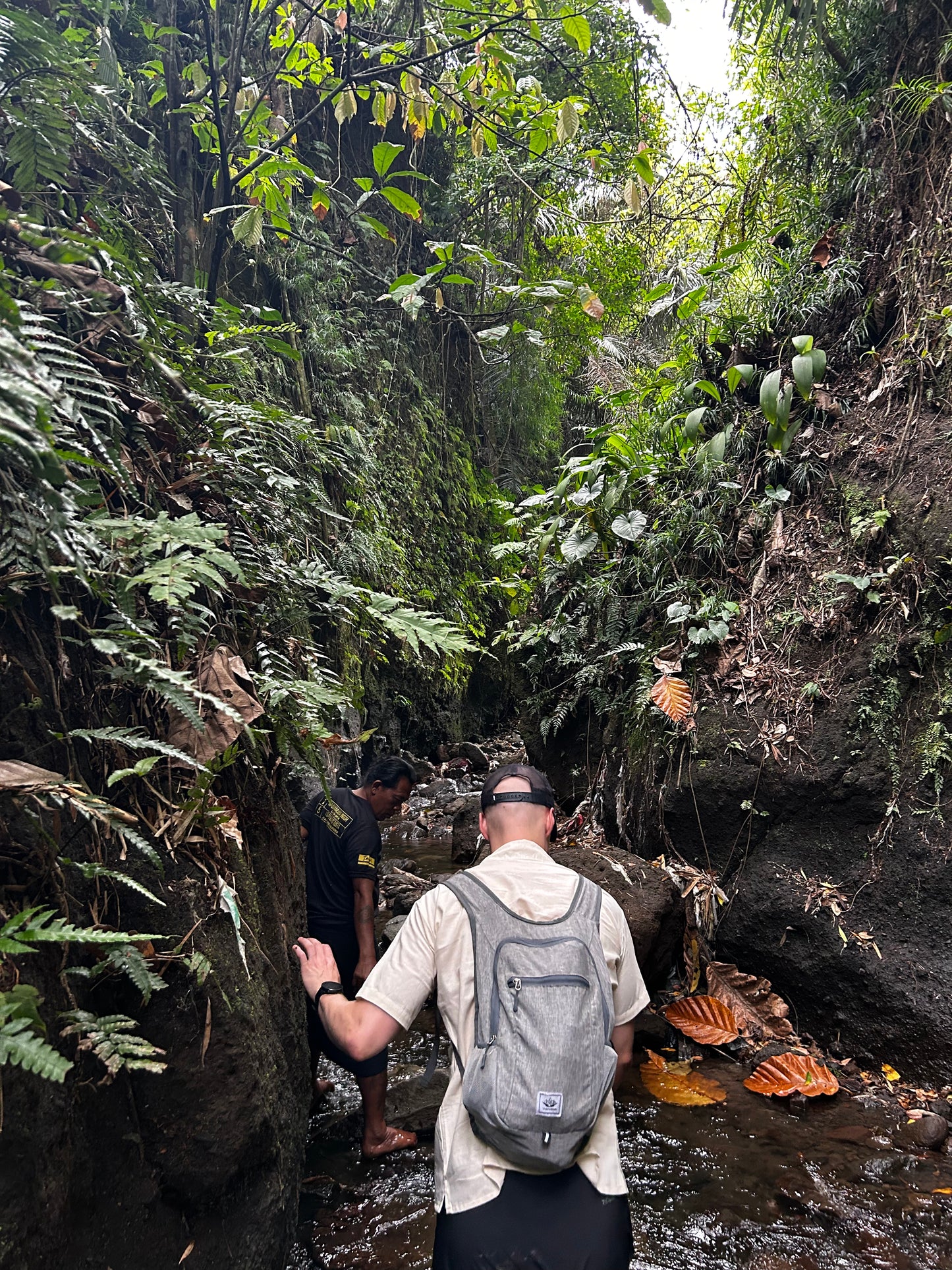 CloudFold Backpack