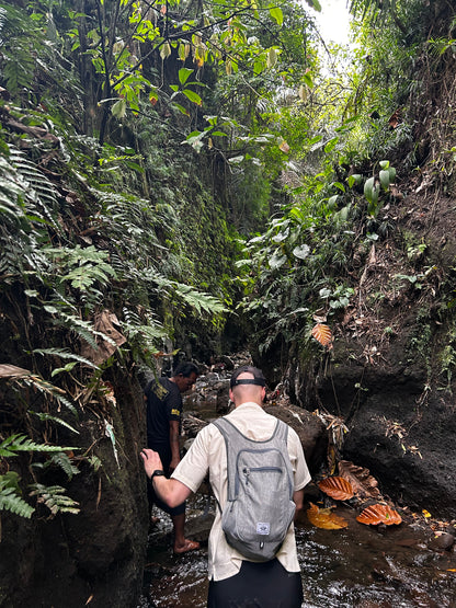 CloudFold Backpack